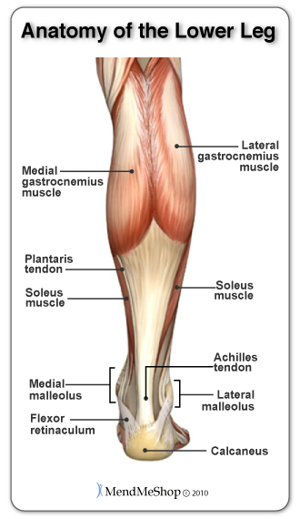 How do you know if you have pulled a muscle?